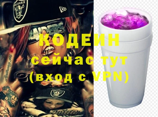 дживик Снежногорск
