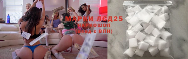дживик Снежногорск