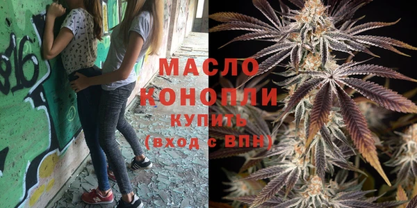 дживик Снежногорск